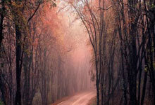 段冉:北京需找到周琦不在场应对方案 也要找到锁死对方箭头方法.