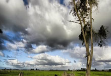 海上“速度与激情” 全国顶级帆板、风筝板赛事在北海举行央视新闻客户端.