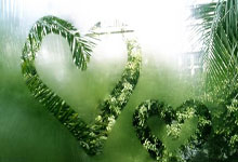 塔罗也伤了,小蜘蛛也悠着点吧,最近赛程太密了.