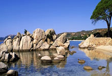 海上“速度与激情” 全国顶级帆板、风筝板赛事在北海举行央视新闻客户端.